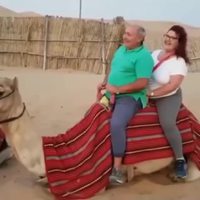 Kan tu en as plein le dos