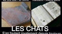 Archéologie et fdp