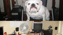 Computer Setups