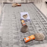 Chacun cherche son masque