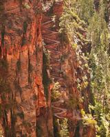 Zion national park (Utah)