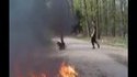 Cocktail molotov 