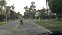 Sortir le chien