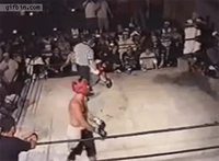 L'arbitre a toujours raison