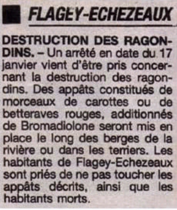 L'expression hasardeuse des brèves du journal