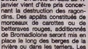 Invasion de ragondins