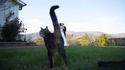 photo de mariage