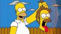 Top 5 des télévengeurs "Spécial Homer Simpson"