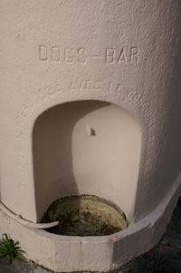 Dogs-Bar