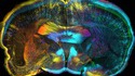 Quand science et art se confondent 