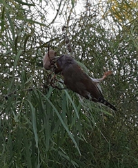 Quelque part en Australie?