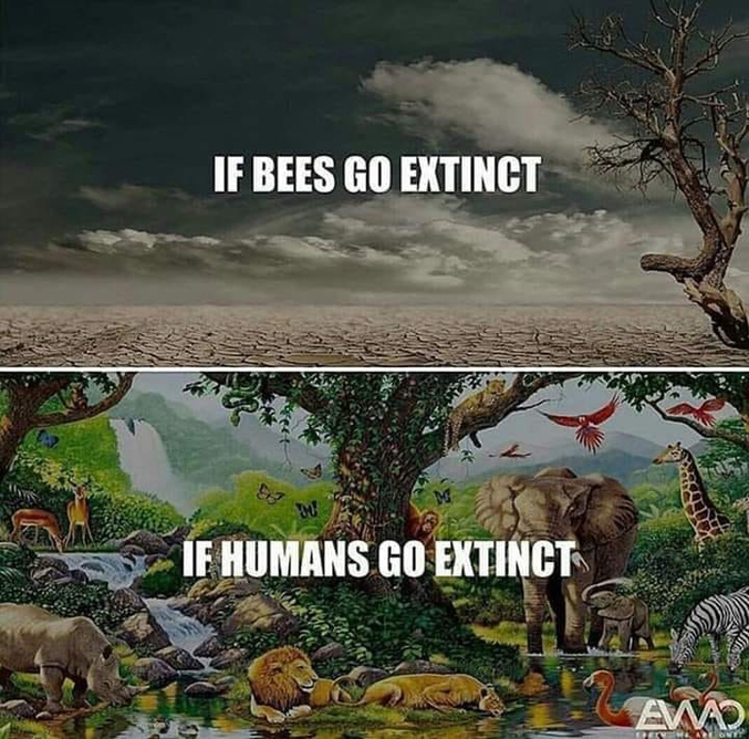 1/ Des abeilles.
2/ Des humains.