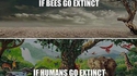 S'il y avait extinction...