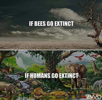 S'il y avait extinction...