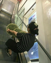 Comment déplacer un cactus