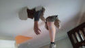 Ceiling man