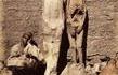 1875 : En Egypte, les vendeurs des rues pouvaient te proposer des momies anciennes tout ce qu'il y a d'authentiques