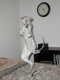 Posture de combat.