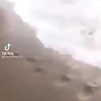 Voir pour la première fois de sa vie l’océan 