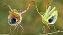 Et si on danse ?