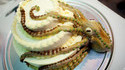 Octopus cake
