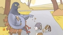 Pigeon sympa