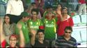 Fan de cricket