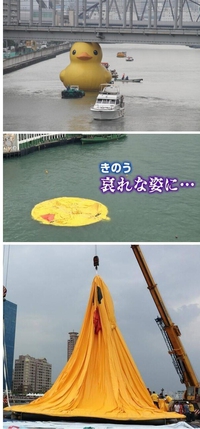 Fin d'un canard géant