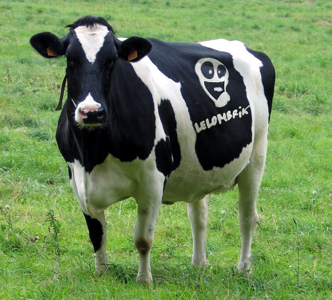 Une vache avec le logo de Lelombrik.
