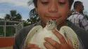Gros oiseau