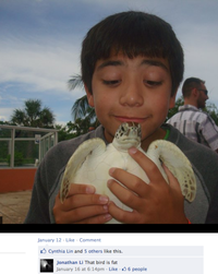 Gros oiseau