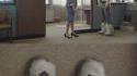 Bottes en chats