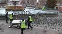 Ouvriers Vs Oiseaux