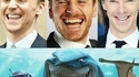 On a retrouvé les requins de Nemo