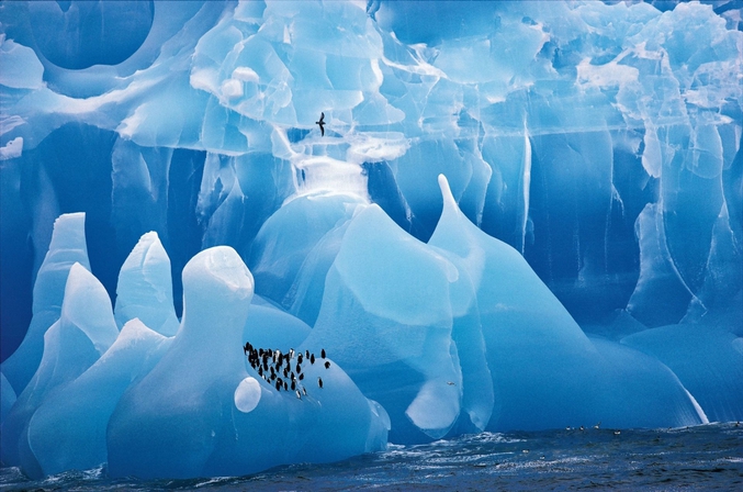 Ce genre d'iceberg, très rare il y a quelques décennies, est devenu un peu plus fréquent aujourd'hui (réchauffement climatique ?). En tout cas, des images merveilleuses ç chaque fois.
