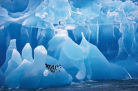 Blue iceberg