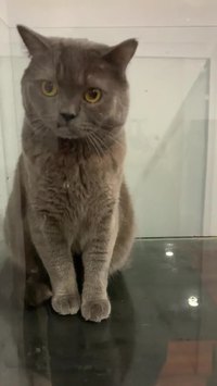 Installer un nouvel aquarium pour ses futurs poissons