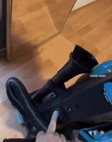 méthode radicale pour les chiens qui perdent trop de poils