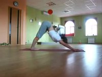 Yoga Félin