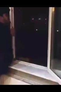 Un talent éblouissant