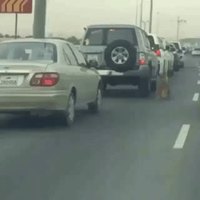 Un tigre s'est échappé du moteur