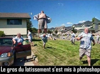 On demande à voir pour le gros de la forêt :-D