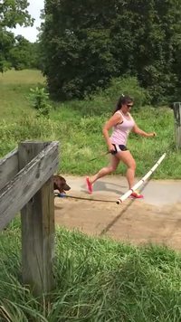 Concours de saut d'obstacles