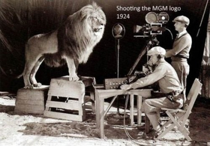 Tournage du lion pour la MGM en 1920