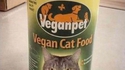 Nourriture vegan pour chats