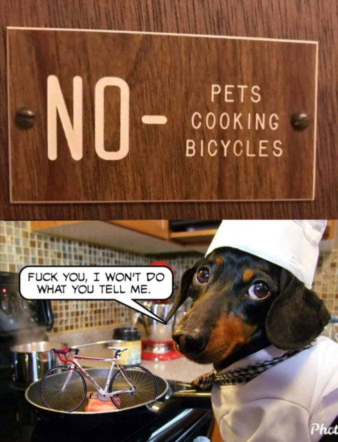 Pas d'animaux domestiques, de cuisine ni de vélo.

Blague : peut aussi se lire, "Interdit aux animaux domestiques cuisinant des vélos"