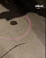 Le temps d’analyser ?