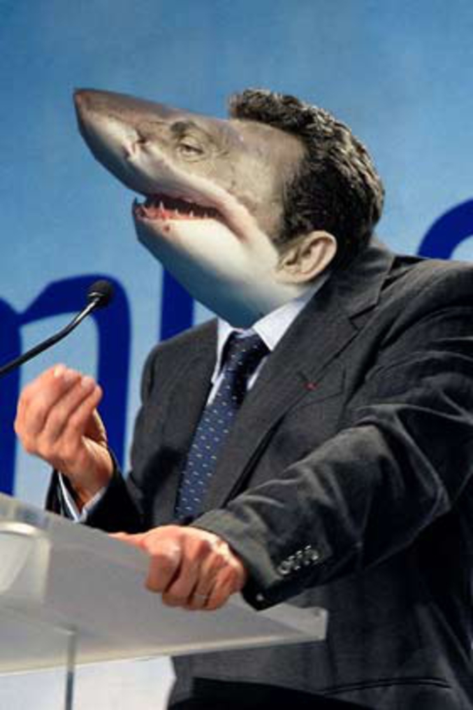 Puisqu'on est dans le thème des requins ...