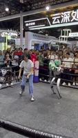Combat de robot