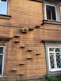 Escalier pour chat